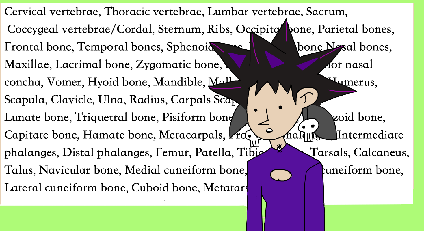 bone wizard names every human bone