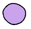 grape