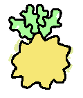 starfruit