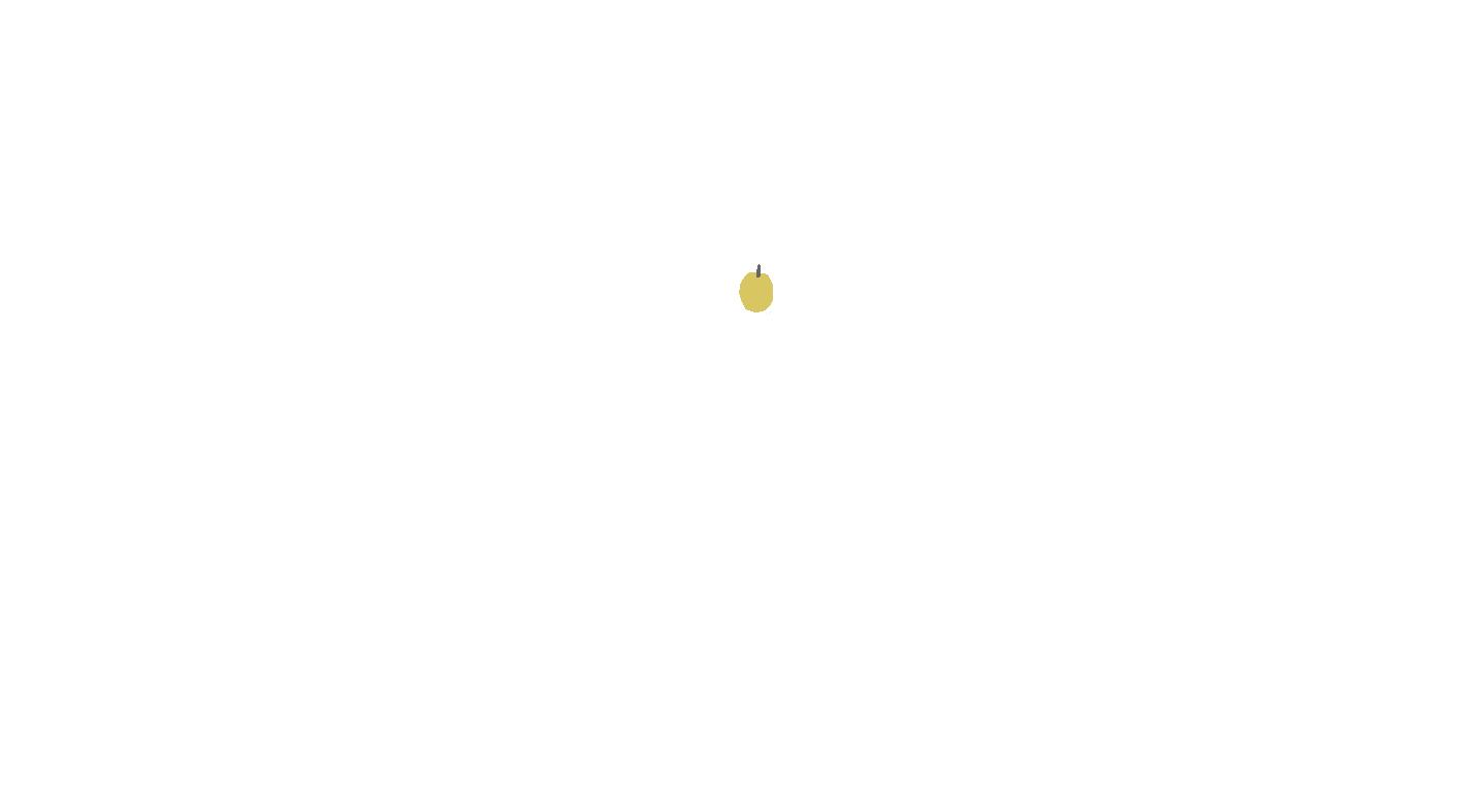 candle